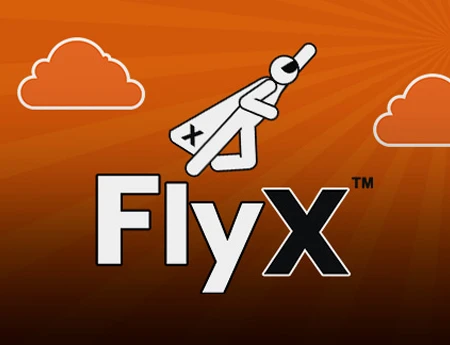 Capa do jogo FlyX